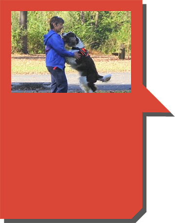 What a Charmer has to say