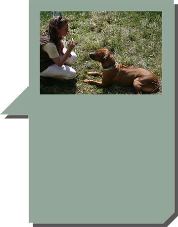 What a Expert has to say