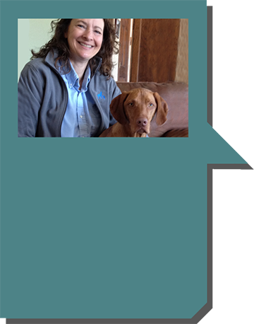 What a Renaissance Dog has to say